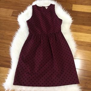 J Crew Sleeveless Polka Dot Skater Fit Flare Dress